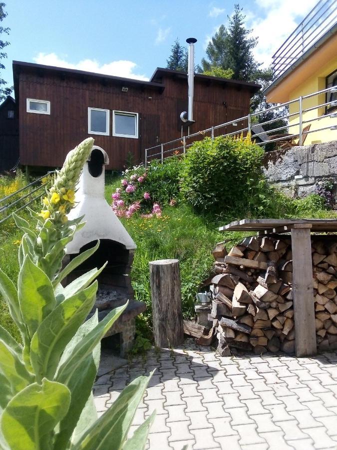 Apartmany Kořenov エクステリア 写真