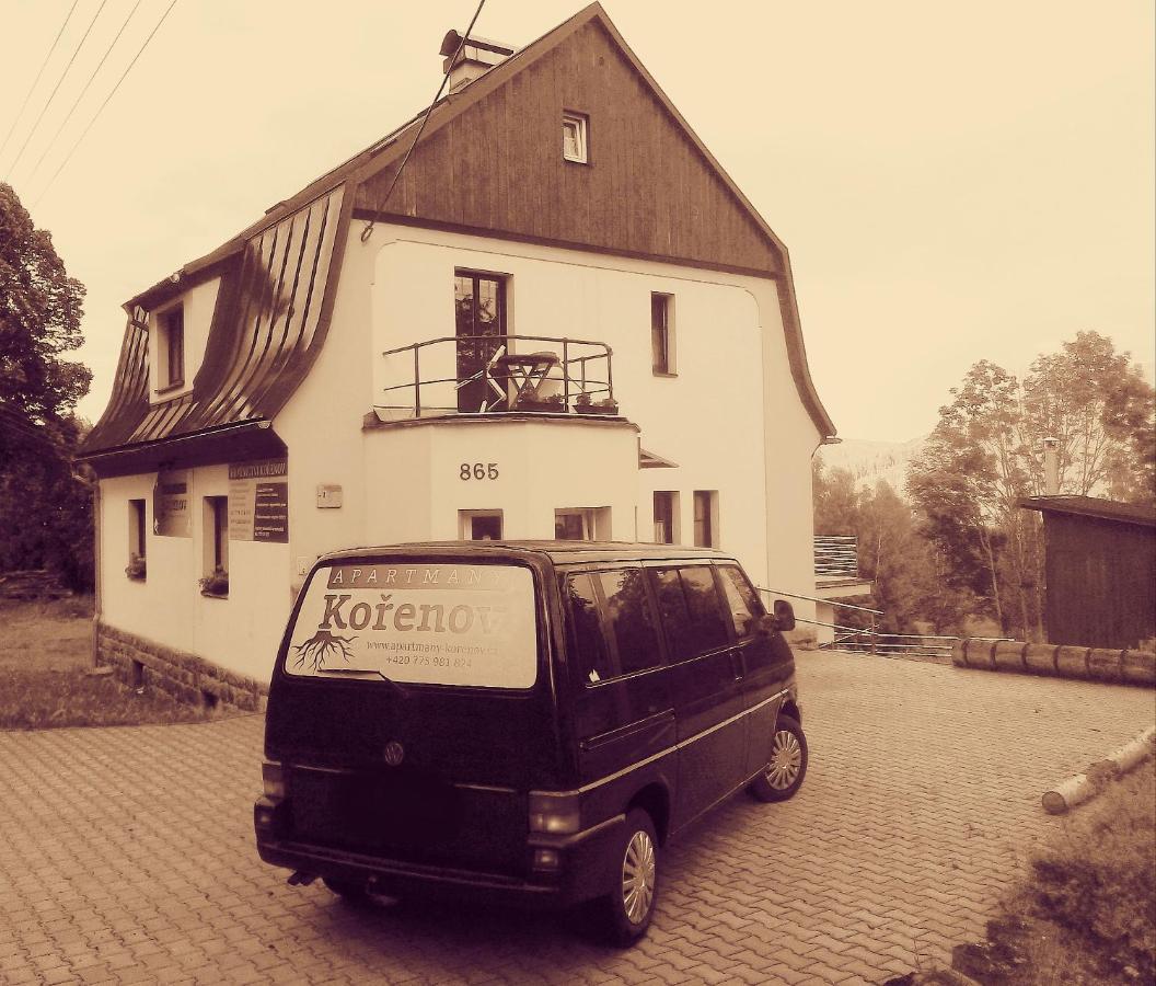 Apartmany Kořenov エクステリア 写真