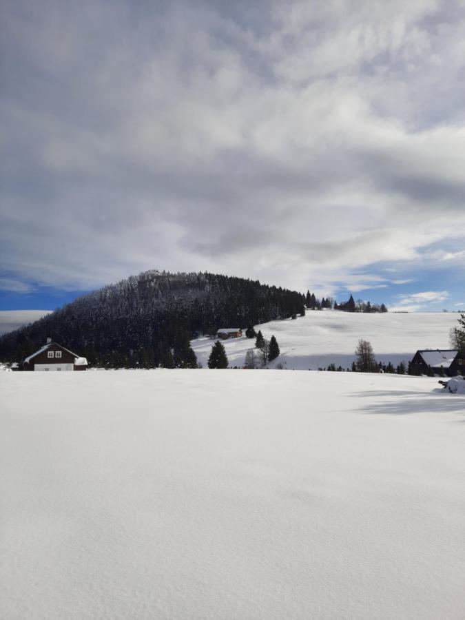 Apartmany Kořenov エクステリア 写真