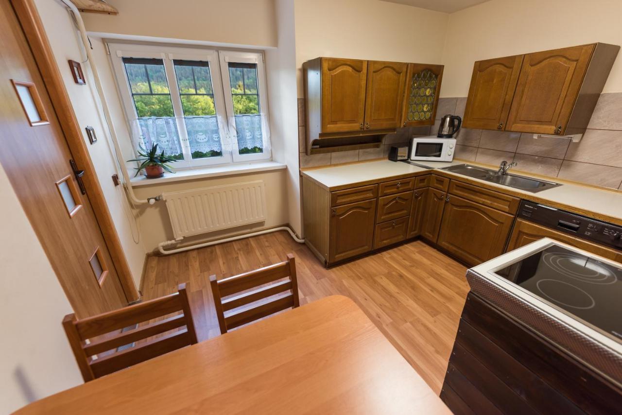 Apartmany Kořenov エクステリア 写真