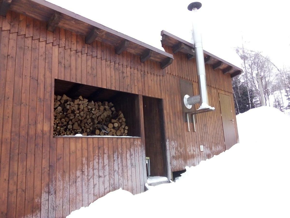 Apartmany Kořenov エクステリア 写真